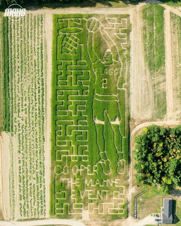 整活新高度！独行侠晒照 新科状元弗拉格被“种”进了玉米地